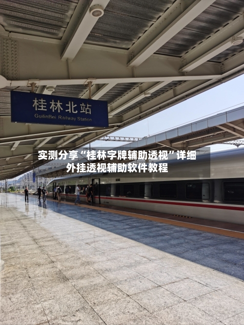 实测分享“桂林字牌辅助透视	”详细外挂透视辅助软件教程-第2张图片