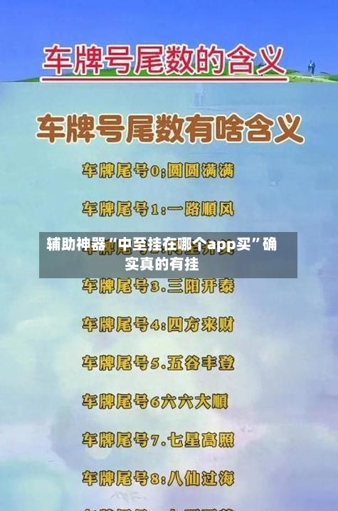 辅助神器“中至挂在哪个app买”确实真的有挂