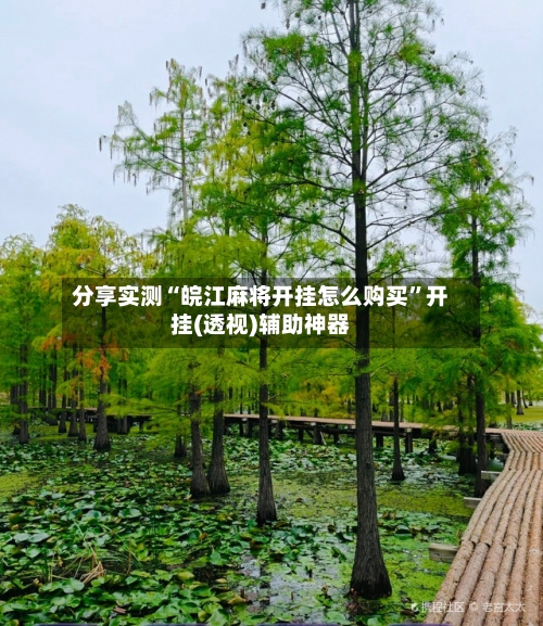 分享实测“皖江麻将开挂怎么购买”开挂(透视)辅助神器