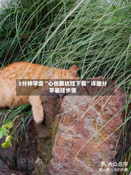 3分钟学会“心悦踢坑挂下载”详细分享装挂步骤