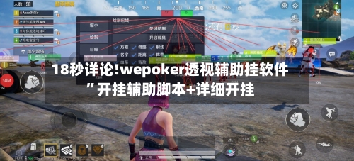 18秒详论!wepoker透视辅助挂软件”开挂辅助脚本+详细开挂-第3张图片