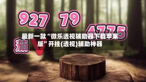 最新一款“微乐透视辅助器下载苹果版”开挂(透视)辅助神器