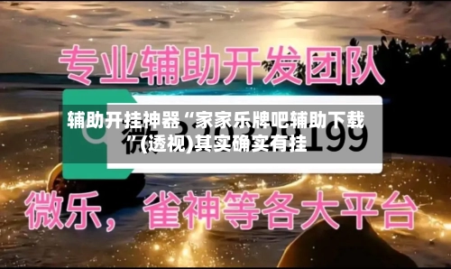 辅助开挂神器“家家乐牌吧辅助下载”(透视)其实确实有挂-第3张图片
