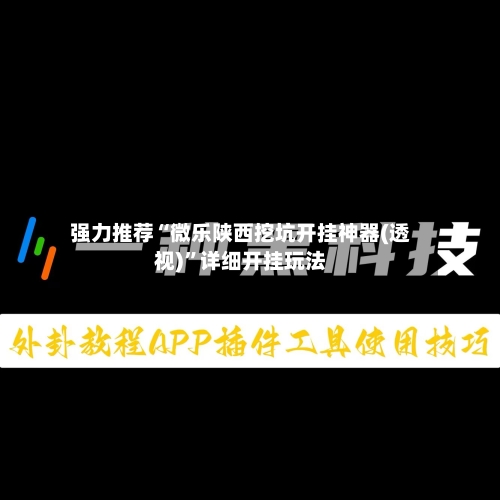 强力推荐“微乐陕西挖坑开挂神器(透视)”详细开挂玩法-第3张图片