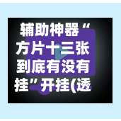 辅助神器“方片十三张到底有没有挂”开挂(透视)辅助神器