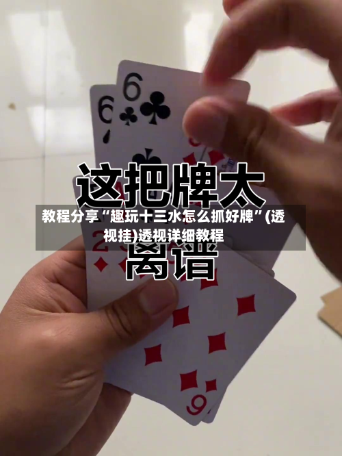 教程分享“趣玩十三水怎么抓好牌”(透视挂)透视详细教程-第3张图片