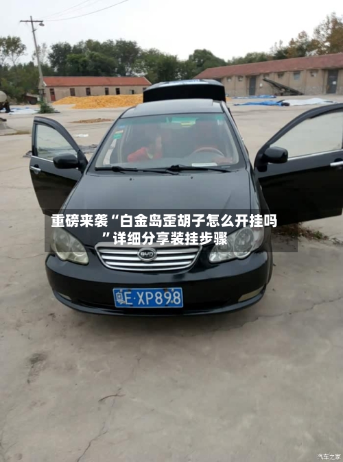 重磅来袭“白金岛歪胡子怎么开挂吗	”详细分享装挂步骤-第2张图片
