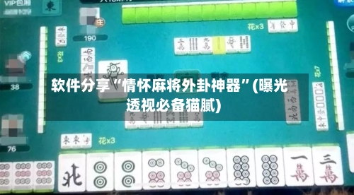 软件分享“情怀麻将外卦神器	”(曝光透视必备猫腻)-第3张图片