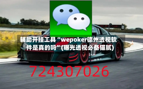 辅助开挂工具“wepoker德州透视软件是真的吗”(曝光透视必备猫腻)-第2张图片