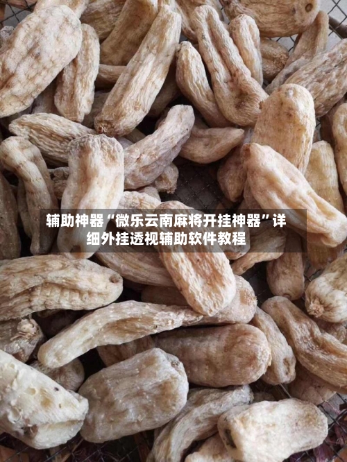 辅助神器“微乐云南麻将开挂神器	”详细外挂透视辅助软件教程-第3张图片