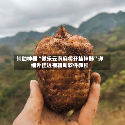 辅助神器“微乐云南麻将开挂神器”详细外挂透视辅助软件教程-第2张图片