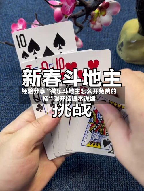 经验分享“微乐斗地主怎么开免费的挂”附开挂脚本详细-第3张图片