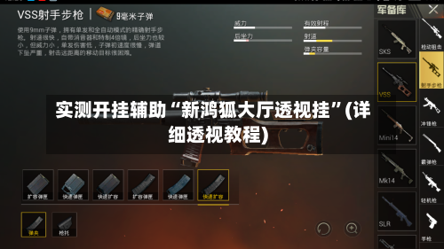实测开挂辅助“新鸿狐大厅透视挂	”(详细透视教程)-第2张图片
