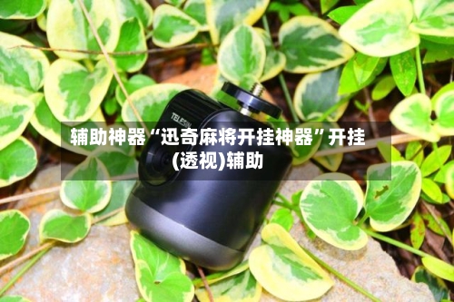 辅助神器“迅奇麻将开挂神器”开挂(透视)辅助-第3张图片
