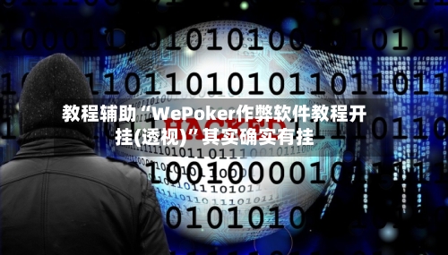 教程辅助“WePoker作弊软件教程开挂(透视)	”其实确实有挂-第2张图片