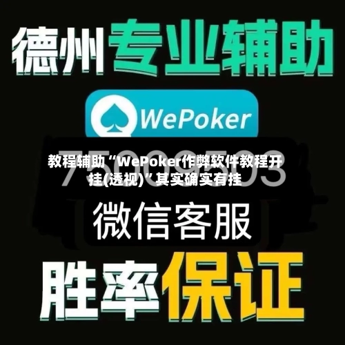 教程辅助“WePoker作弊软件教程开挂(透视)”其实确实有挂-第3张图片