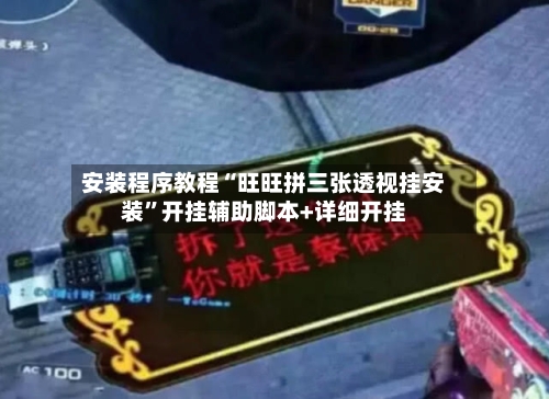 安装程序教程“旺旺拼三张透视挂安装	”开挂辅助脚本+详细开挂-第2张图片
