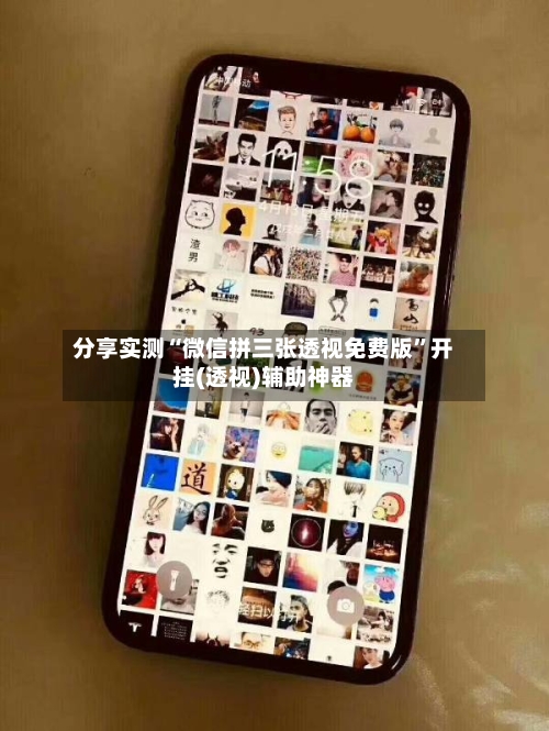 分享实测“微信拼三张透视免费版”开挂(透视)辅助神器-第3张图片