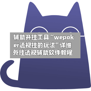 辅助开挂工具“wepoker透视挂的玩法	”详细外挂透视辅助软件教程-第2张图片