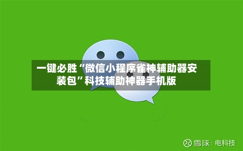 一键必胜“微信小程序雀神辅助器安装包”科技辅助神器手机版-第2张图片