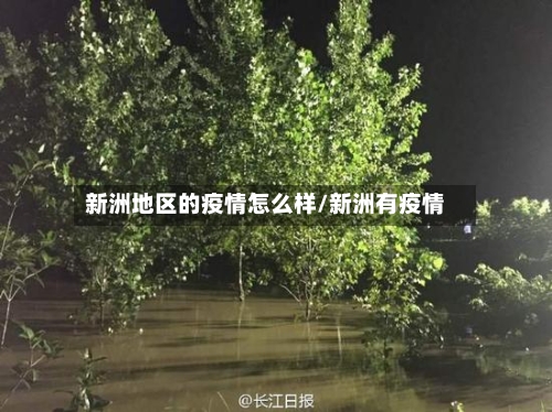 新洲地区的疫情怎么样/新洲有疫情-第2张图片