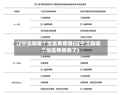 辽宁沈阳哪个地区有疫情(辽宁沈阳哪个地区有疫情了)-第2张图片