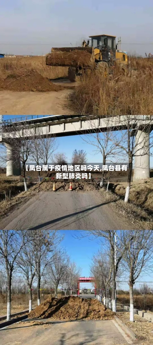 【凤台属于疫情地区吗今天,凤台县有新型肺炎吗】-第2张图片
