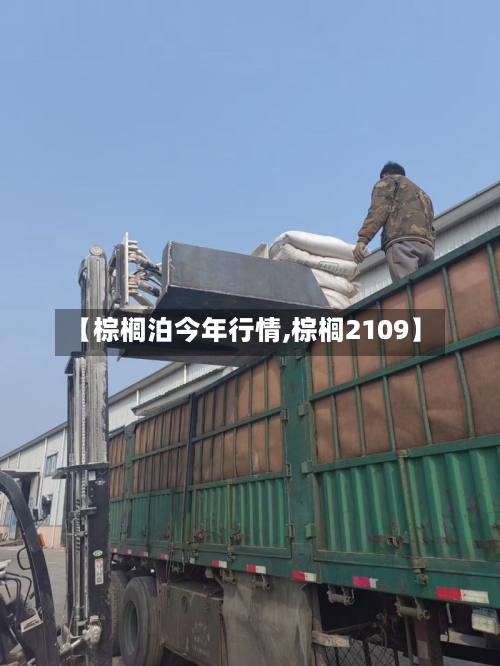 【棕榈泊今年行情,棕榈2109】