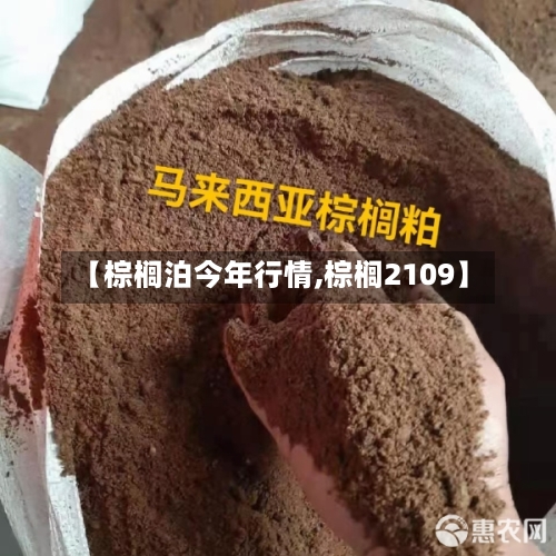 【棕榈泊今年行情,棕榈2109】-第2张图片