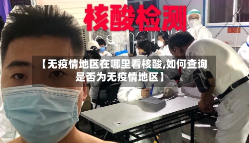 【无疫情地区在哪里看核酸,如何查询是否为无疫情地区】-第2张图片