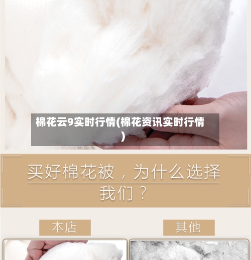 棉花云9实时行情(棉花资讯实时行情)