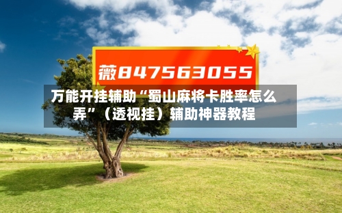 万能开挂辅助“蜀山麻将卡胜率怎么弄”（透视挂）辅助神器教程-第3张图片