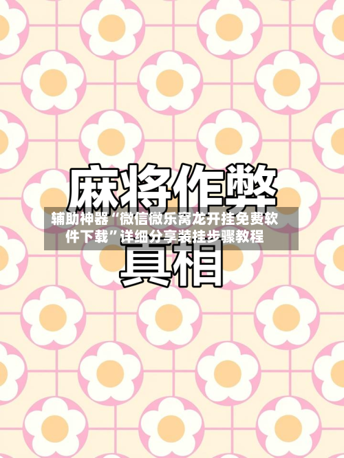 辅助神器“微信微乐窝龙开挂免费软件下载”详细分享装挂步骤教程-第2张图片