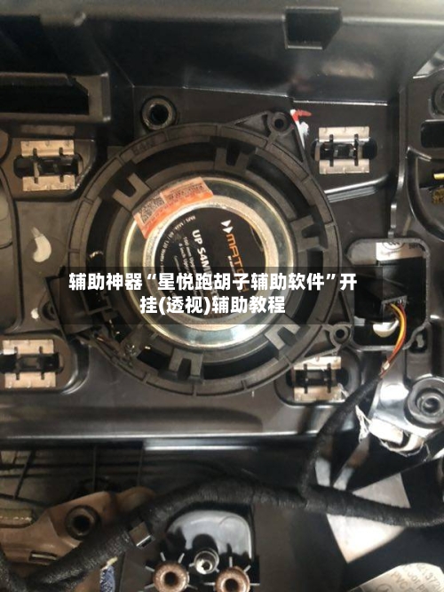 辅助神器“星悦跑胡子辅助软件”开挂(透视)辅助教程-第2张图片