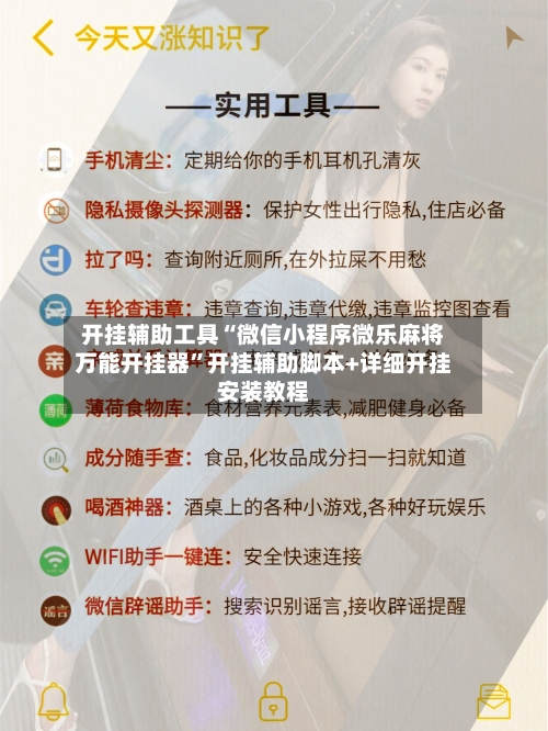 开挂辅助工具“微信小程序微乐麻将万能开挂器	”开挂辅助脚本+详细开挂安装教程-第2张图片