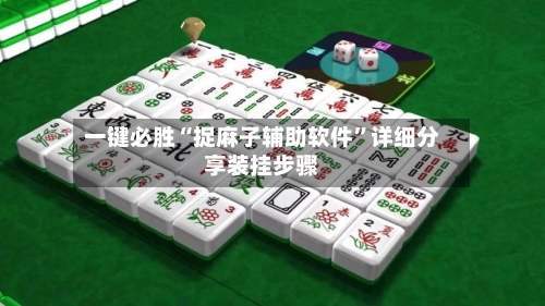 一键必胜“捉麻子辅助软件	”详细分享装挂步骤-第2张图片
