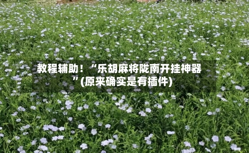 教程辅助！“乐胡麻将陇南开挂神器”(原来确实是有插件)