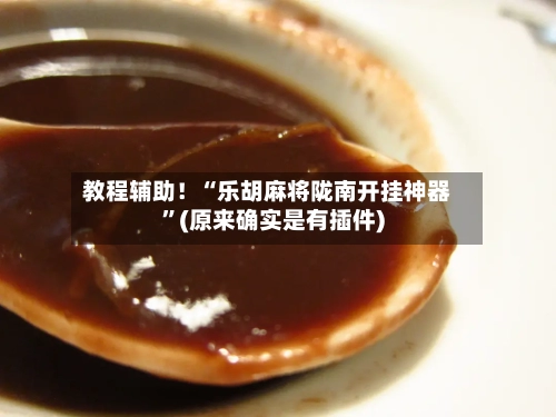 教程辅助！“乐胡麻将陇南开挂神器”(原来确实是有插件)-第2张图片