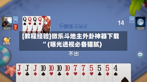 [教程经验]微乐斗地主外卦神器下载”(曝光透视必备猫腻)-第2张图片