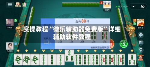 实操教程“微乐辅助器免费版	”详细辅助软件教程-第2张图片