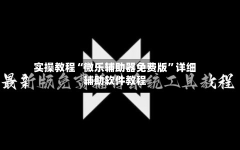 实操教程“微乐辅助器免费版”详细辅助软件教程-第3张图片