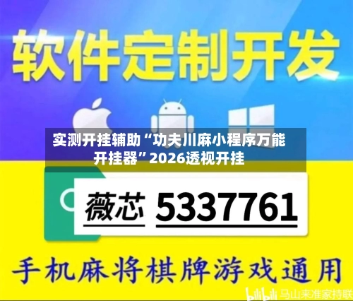 实测开挂辅助“功夫川麻小程序万能开挂器”2026透视开挂-第3张图片