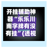 开挂辅助神器“乐乐川南字牌有没有挂”(透视)其实确实有挂-第3张图片