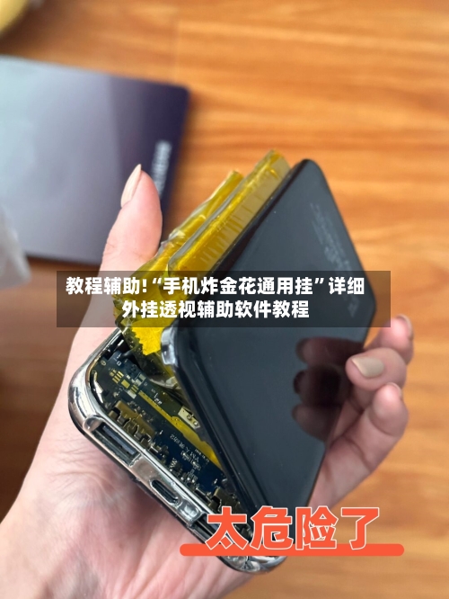 教程辅助!“手机炸金花通用挂”详细外挂透视辅助软件教程-第2张图片