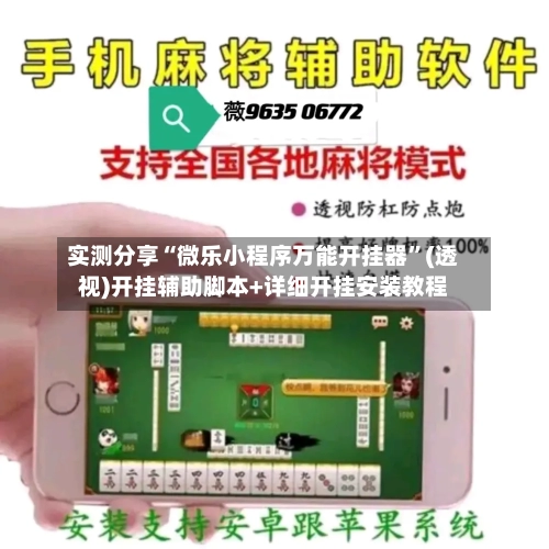 实测分享“微乐小程序万能开挂器”(透视)开挂辅助脚本+详细开挂安装教程-第3张图片