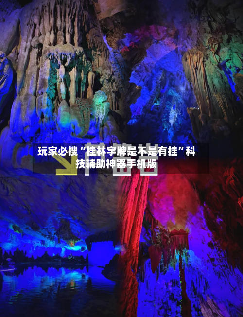 玩家必搜“桂林字牌是不是有挂”科技辅助神器手机版