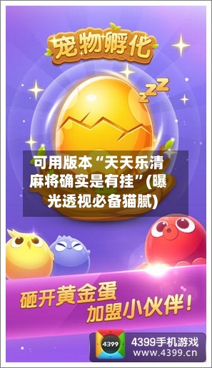可用版本“天天乐清麻将确实是有挂”(曝光透视必备猫腻)-第3张图片