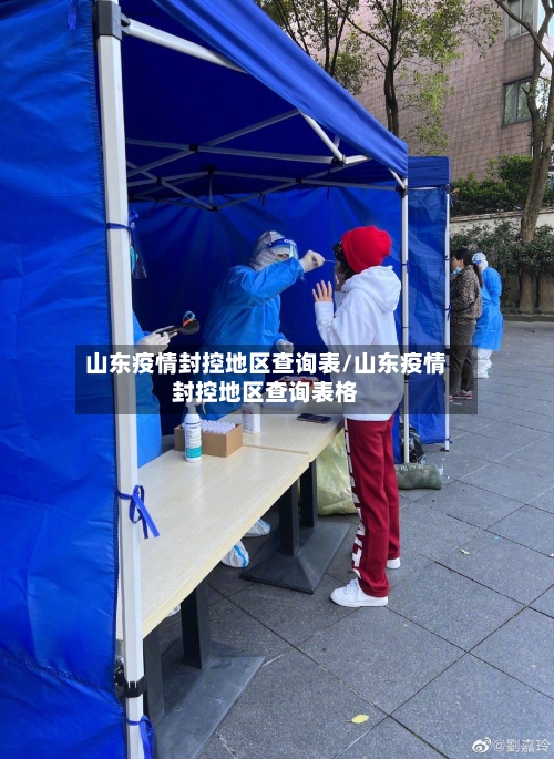 山东疫情封控地区查询表/山东疫情封控地区查询表格-第3张图片