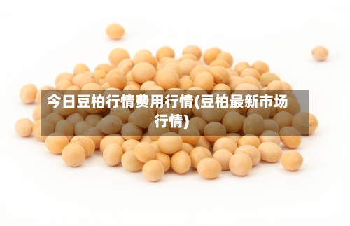 今日豆柏行情费用行情(豆柏最新市场行情)-第2张图片