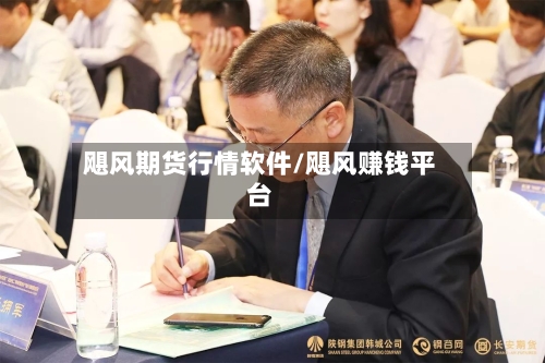 飓风期货行情软件/飓风赚钱平台